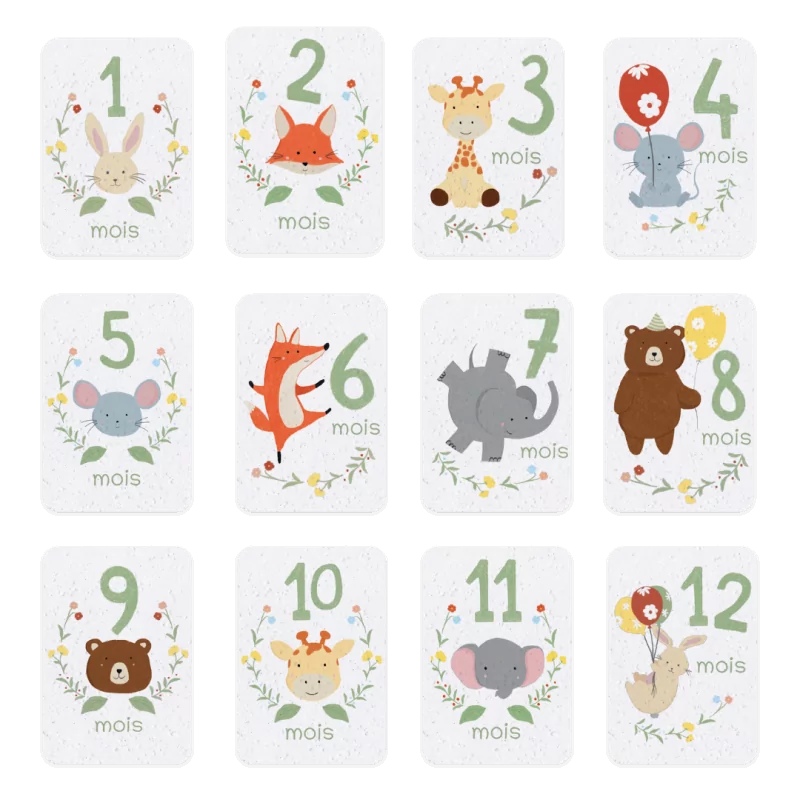 Revivez la tendresse de la première année de bébé avec nos cartes étapes à planter « mes 12 premiers mois ».
