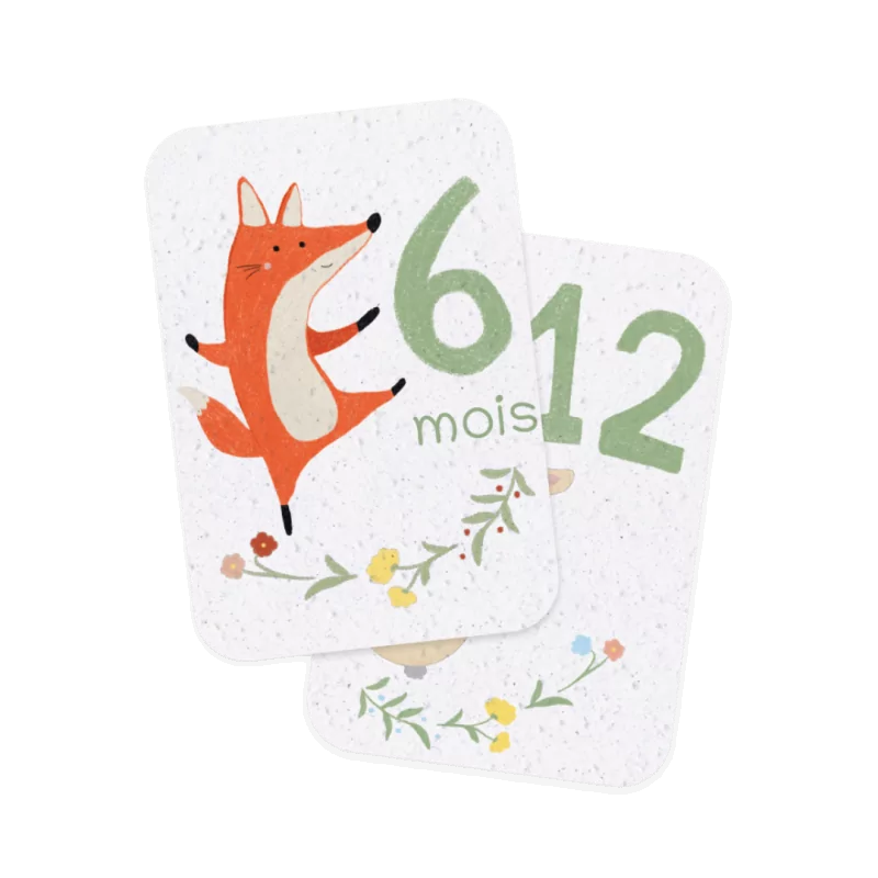 Revivez la tendresse de la première année de bébé avec nos cartes étapes à planter « mes 12 premiers mois ».