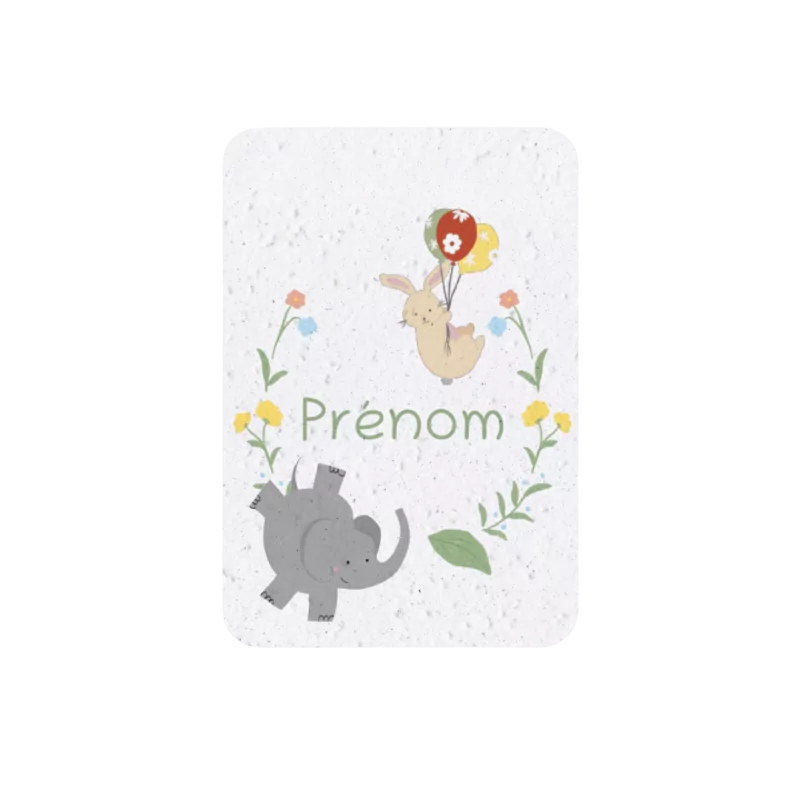 Revivez la tendresse de la première année de bébé avec nos cartes étapes à planter « mes 12 premiers mois ».