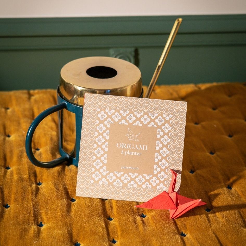 Pack origami à planter