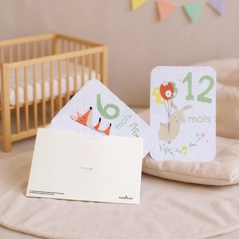 Revivez la tendresse de la première année de bébé avec nos cartes étapes à planter « mes 12 premiers mois ».