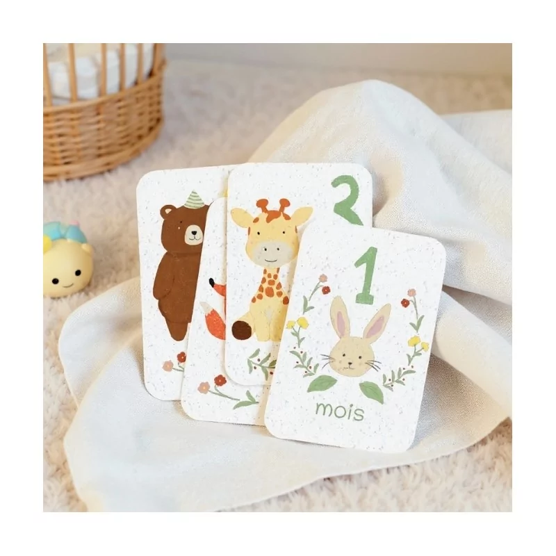 Revivez la tendresse de la première année avec nos cartes étapes bébé à planter.