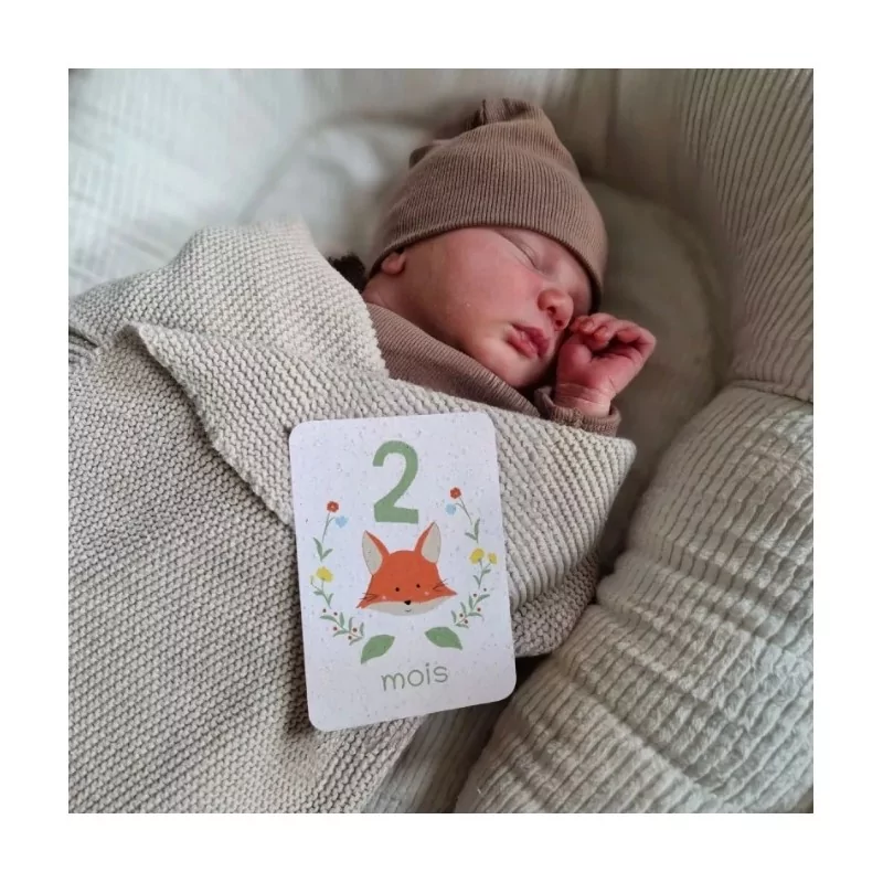 Cartes étapes à planter « mes 12 premiers mois »