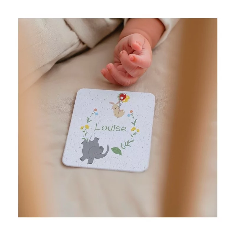 Cartes étapes à planter « mes 12 premiers mois »