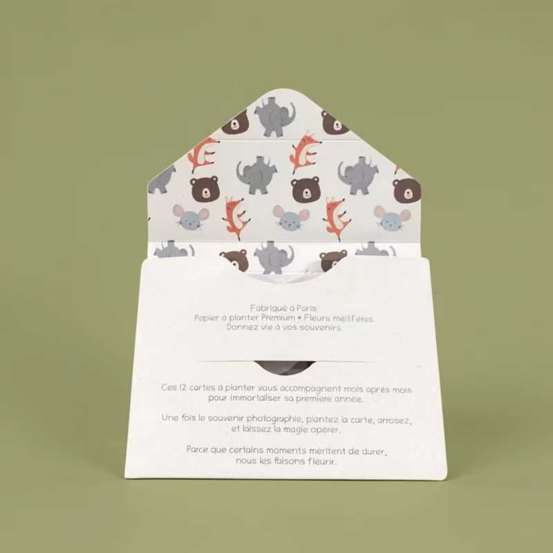 Revivez la tendresse de la première année avec nos cartes étapes bébé à planter.