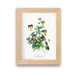 Affiche à planter « Pensées sauvages »