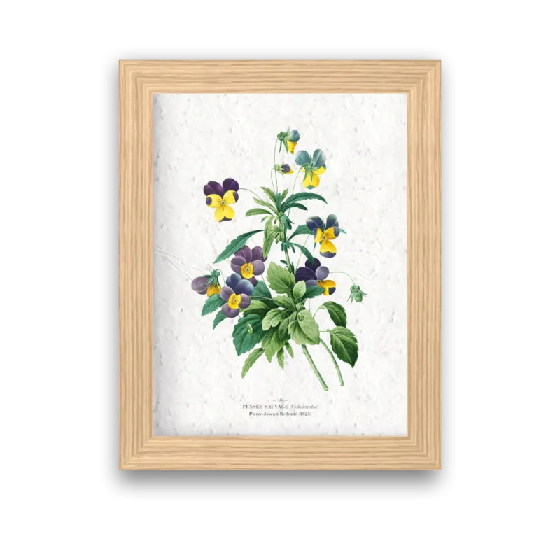 Affiche déco Pensées sauvages à planter | Papierfleur, le papier qui fleurit