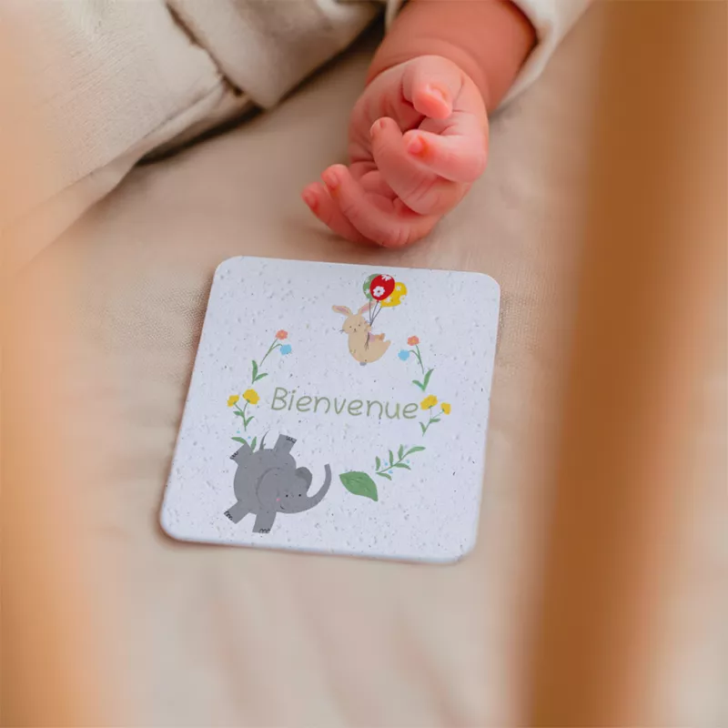 Revivez la tendresse de la première année avec nos cartes étapes bébé à planter.