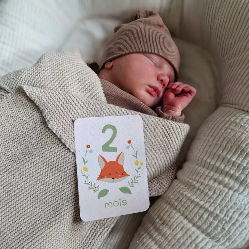 Revivez la tendresse de la première année avec nos cartes étapes bébé à planter.
