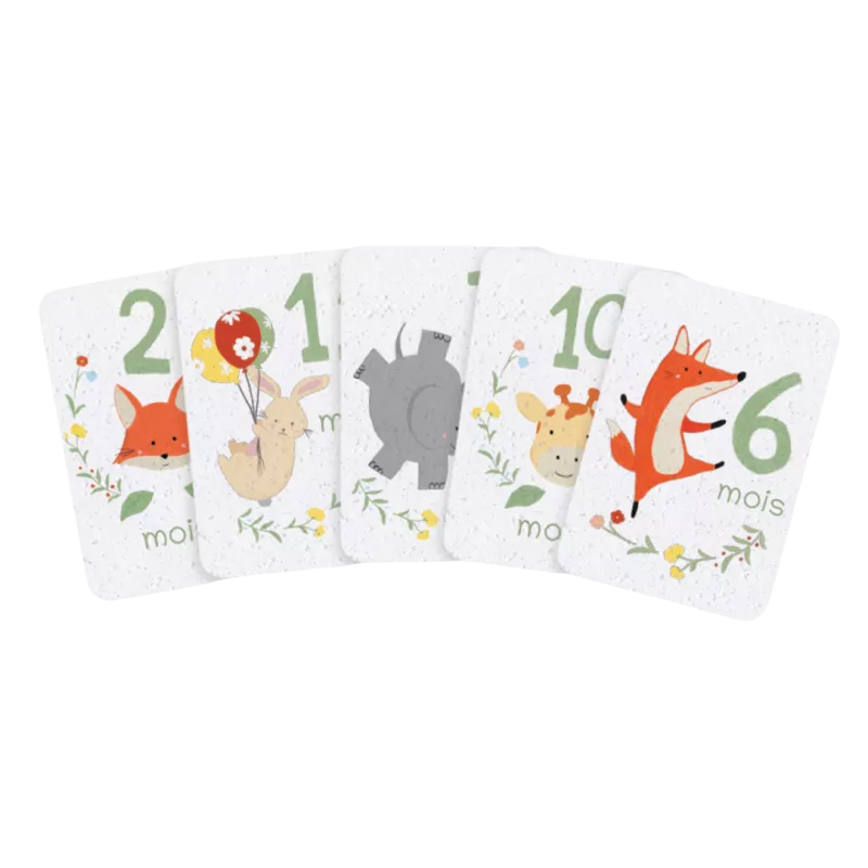 Revivez la tendresse de la première année avec nos cartes étapes bébé à planter.