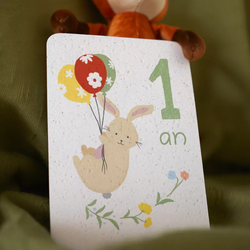 Revivez la tendresse de la première année avec nos cartes étapes bébé à planter.