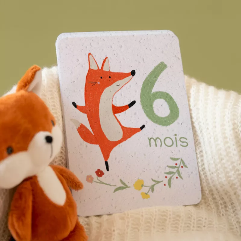 Revivez la tendresse de la première année avec nos cartes étapes bébé à planter.