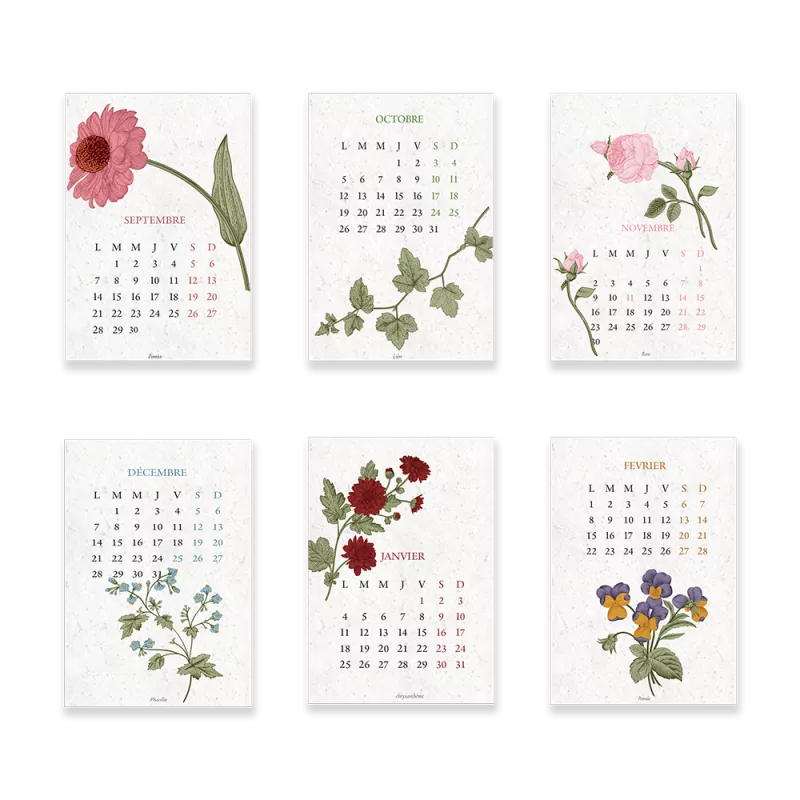 Calendrier scolaire à planter 2026-2027 « Biodiversité »