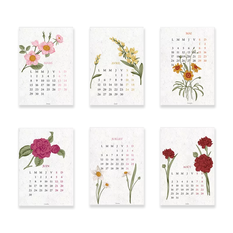 Calendrier scolaire à planter 2026-2027 « Biodiversité »