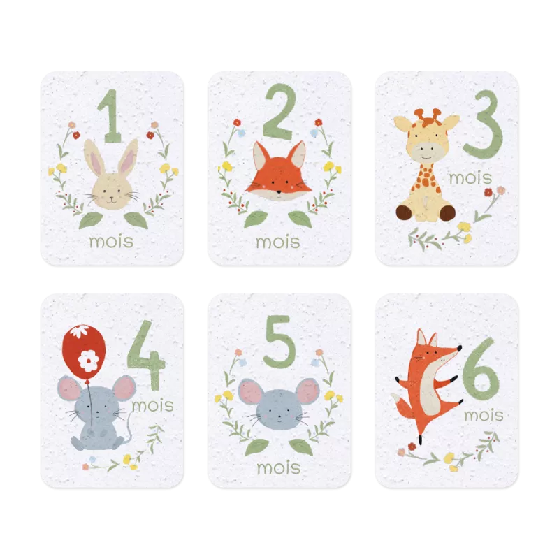 Cartes étapes bébé à planter personnalisées -12 premiers mois
