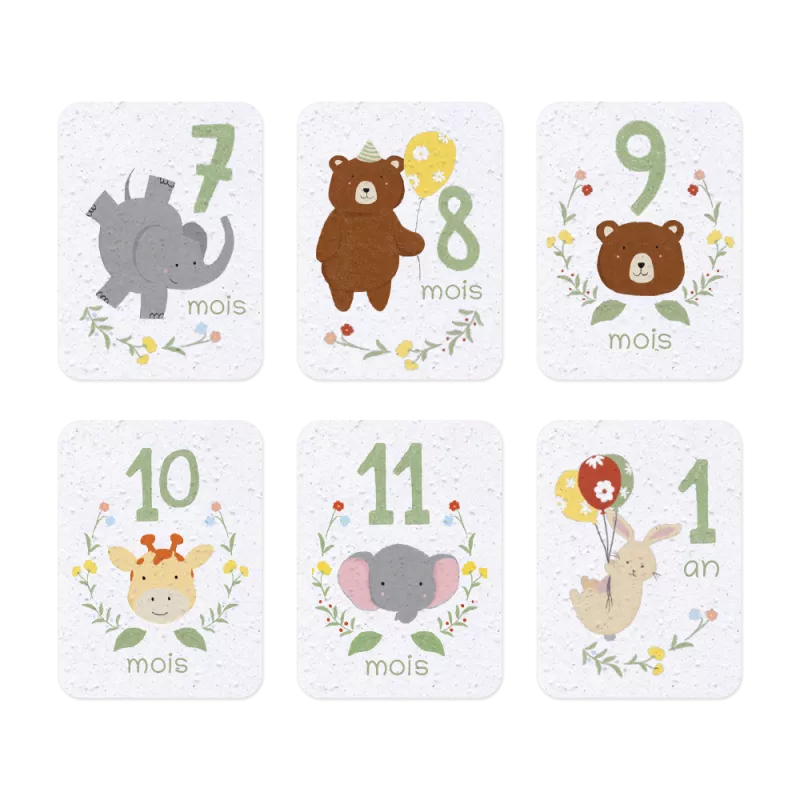 Cartes étapes bébé à planter personnalisées -12 premiers mois