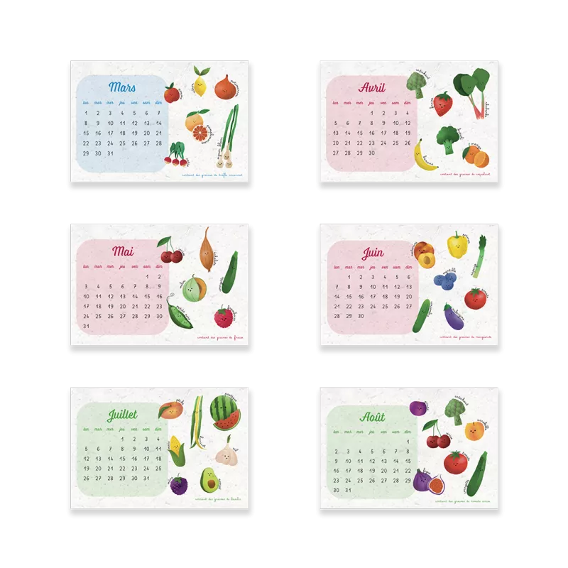Offrez un calendrier scolaire à planter 2026-2027 ludique et écologique.