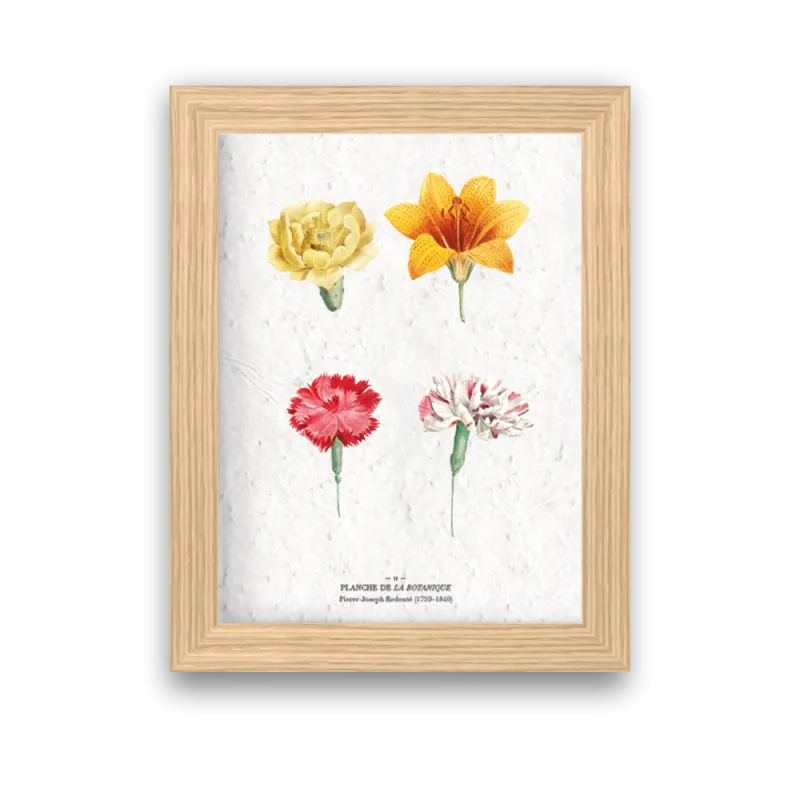 Affiche déco Planche botanique à planter | Papierfleur, le papier qui fleurit