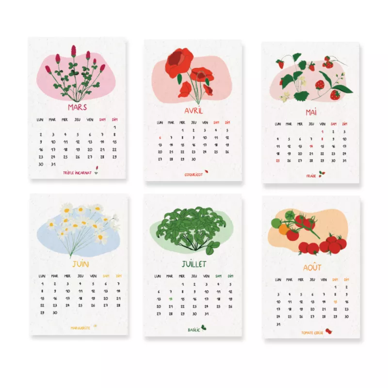 Offrez un calendrier scolaire à planter 2026-2027 poétique et vivant.
