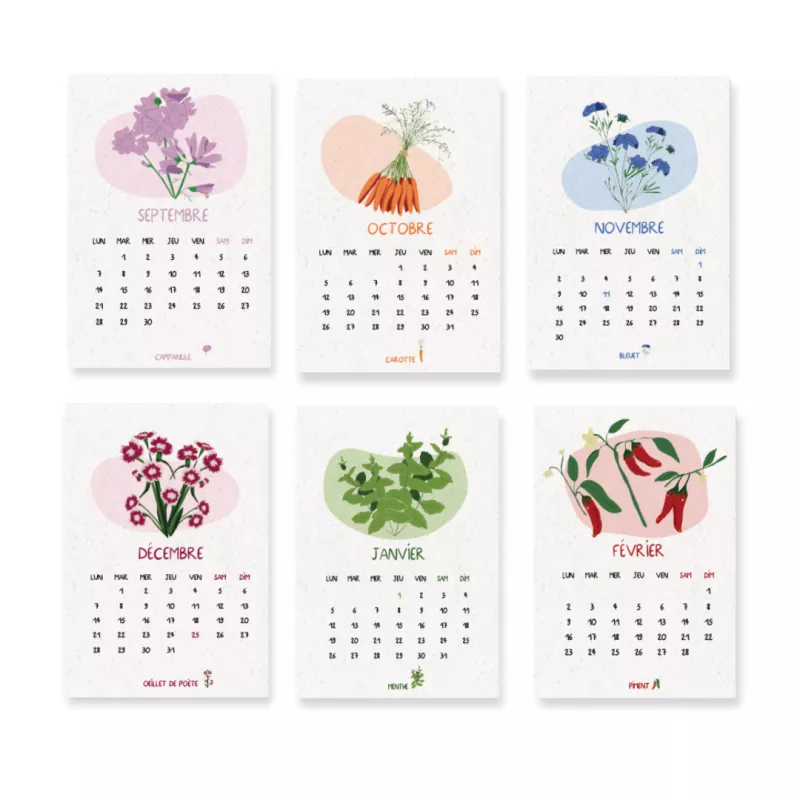Offrez un calendrier scolaire à planter 2026-2027 poétique et vivant.
