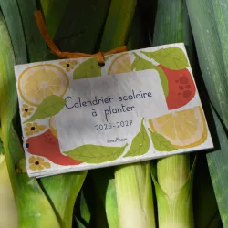 Calendrier scolaire à planter 2026-2027 « Tutti Frutti »