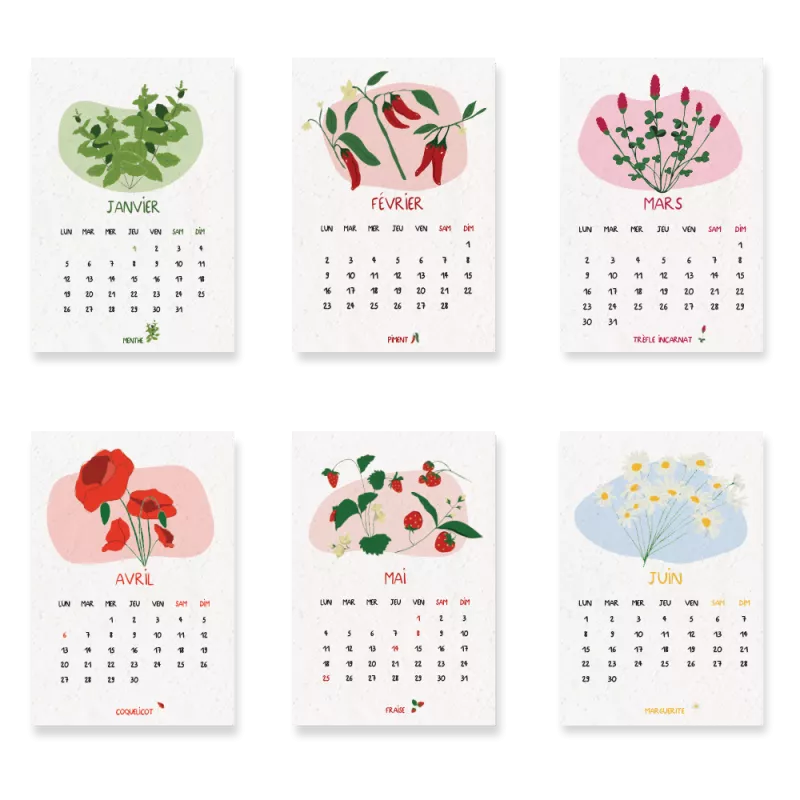 Offrez un calendrier scolaire à planter 2026-2027 poétique et vivant.