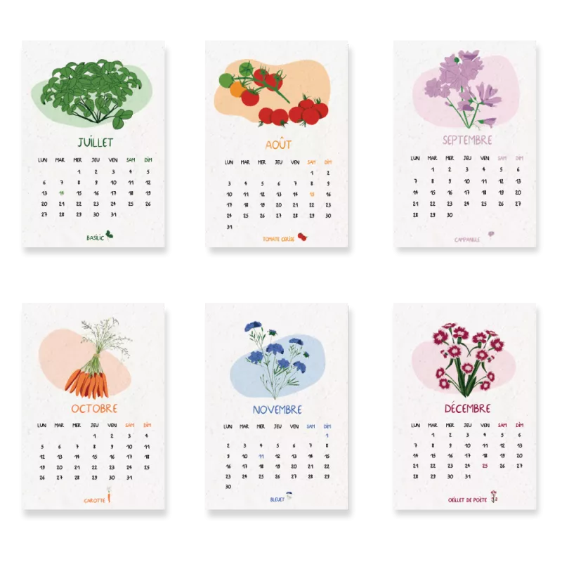 Offrez un calendrier scolaire à planter 2026-2027 poétique et vivant.