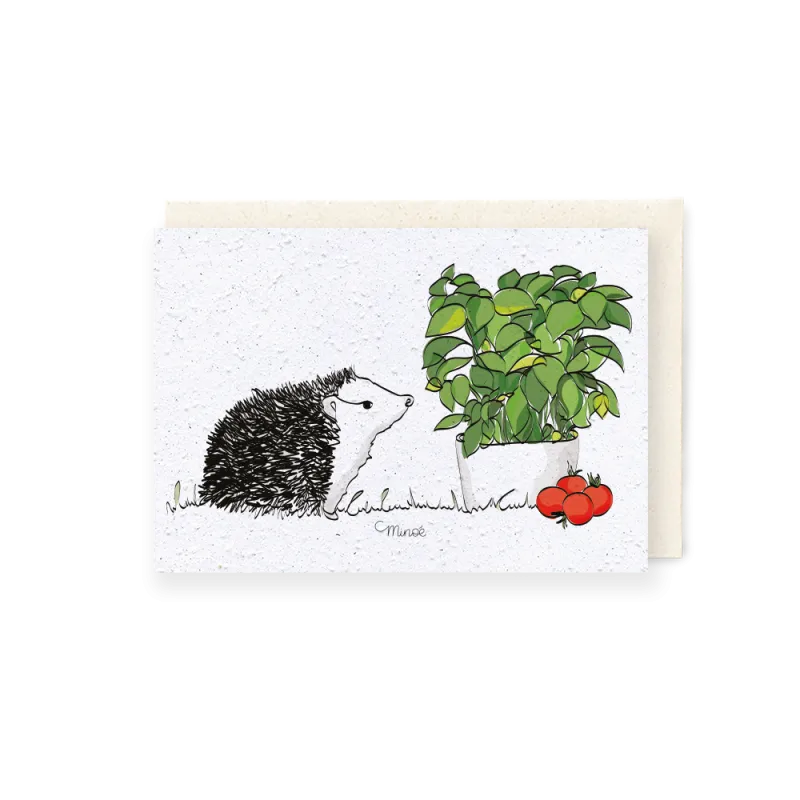 Carte graines - choupisson et basilic | Papierfleur, le papier qui fleurit
