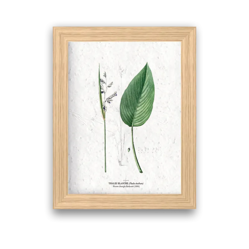 Affiche déco Thalie blanche à planter | Papierfleur, le papier qui fleurit