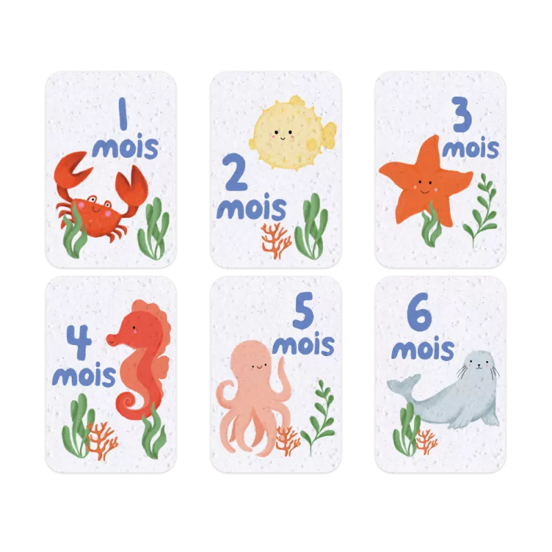 Revivez la tendresse de la première année avec nos cartes étapes bébé « Sous l'océan ».