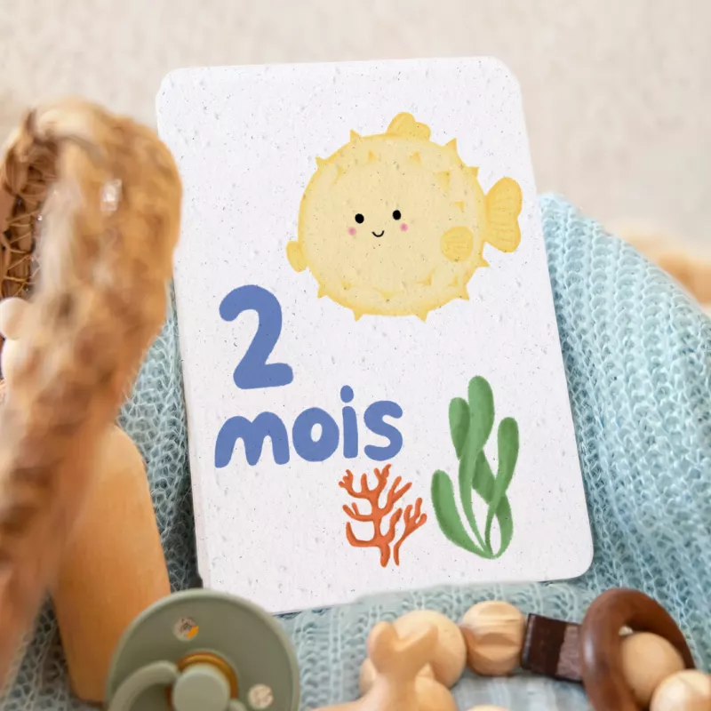 Revivez la tendresse de la première année avec nos cartes étapes bébé « Sous l'océan ».