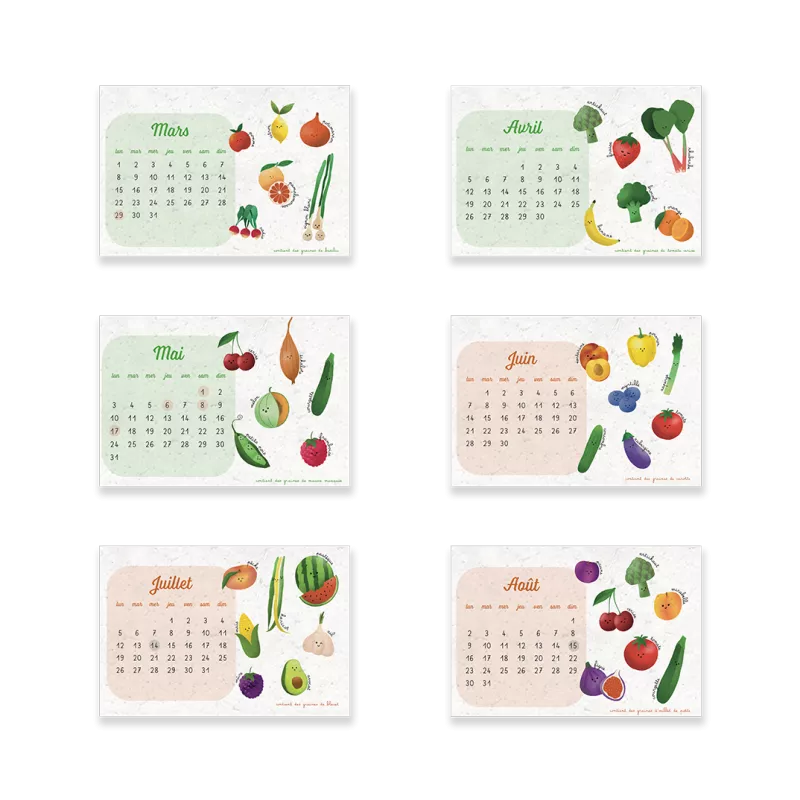 Offrez un calendrier scolaire à planter 2026-2027 ludique et écologique.