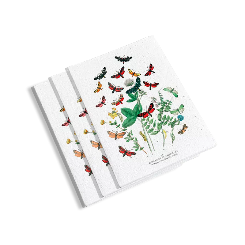 Calendrier à planter « biodiversité » | E-shop Papier Fleur