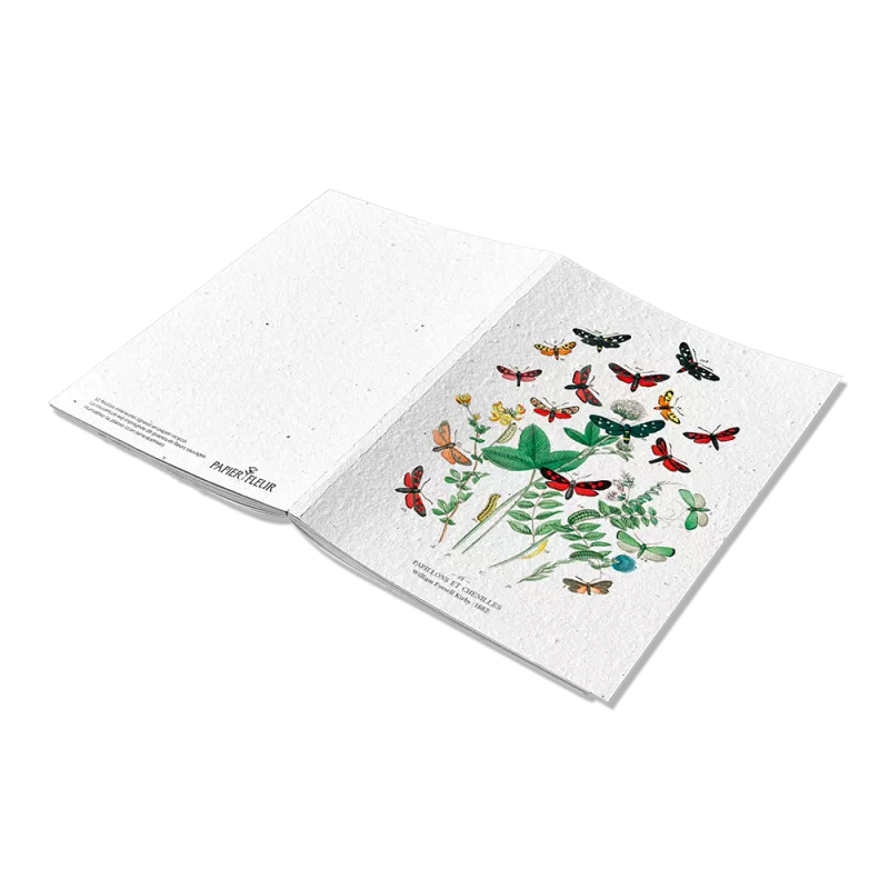 Calendrier à planter « biodiversité » | E-shop Papier Fleur