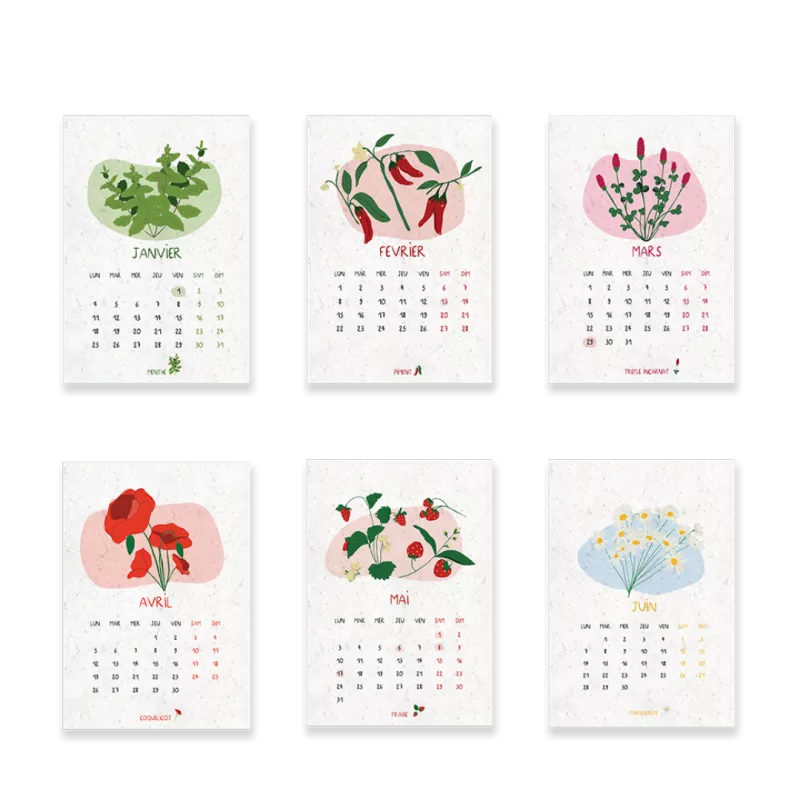 Calendrier à planter 2027 « Jardin du temps », 13 feuilles ensemencées & 13 graines différentes