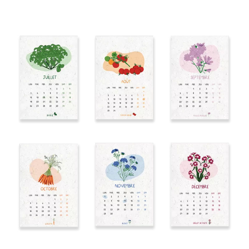Calendrier à planter 2027 « Jardin du temps », 13 feuilles ensemencées & 13 graines différentes