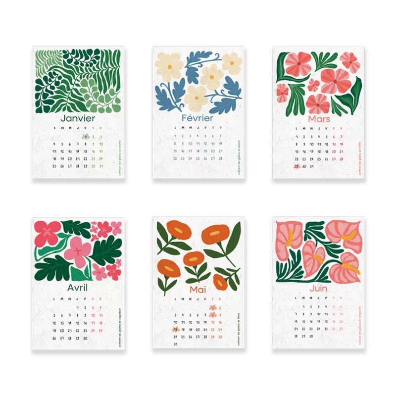 Le calendrier à planter Botania 2027 vous accompagne de janvier à décembre au fil des saisons.