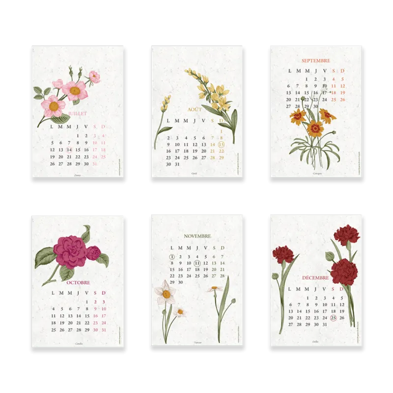 Calendrier à planter 2027 « Biodiversité »