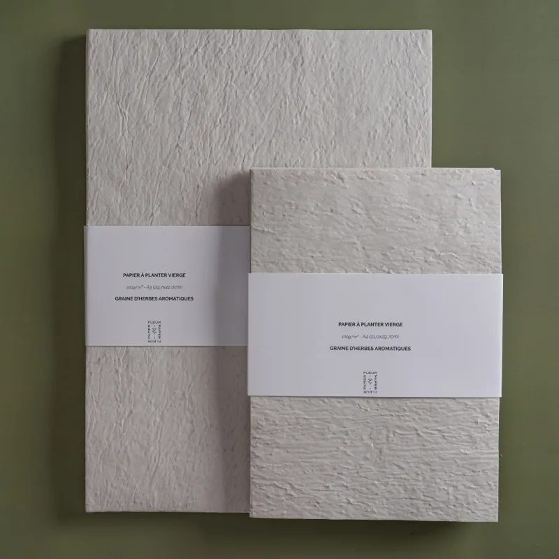 Des feuilles à planter vierges pour libérer votre créativité