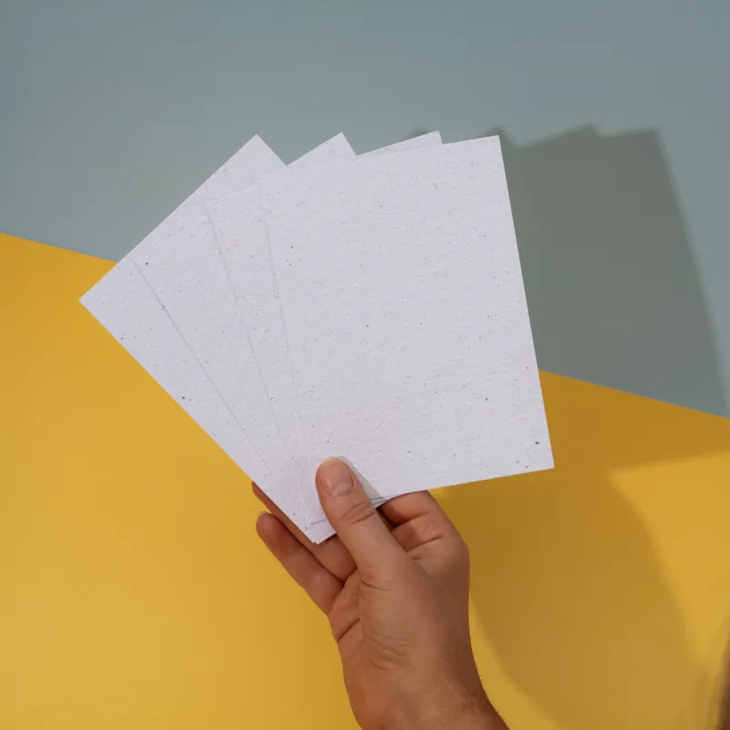 Dessinez, écrivez, coloriez… Laissez libre cours à votre imagination sur ces cartes postales vierges ensemencées.