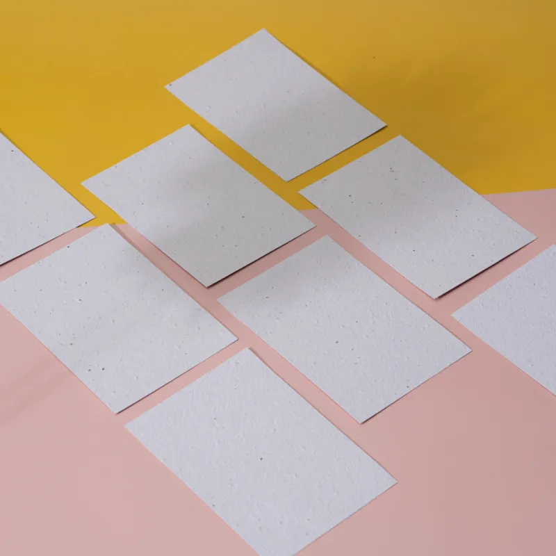 Dessinez, écrivez, coloriez… Laissez libre cours à votre imagination sur ces cartes postales vierges ensemencées.