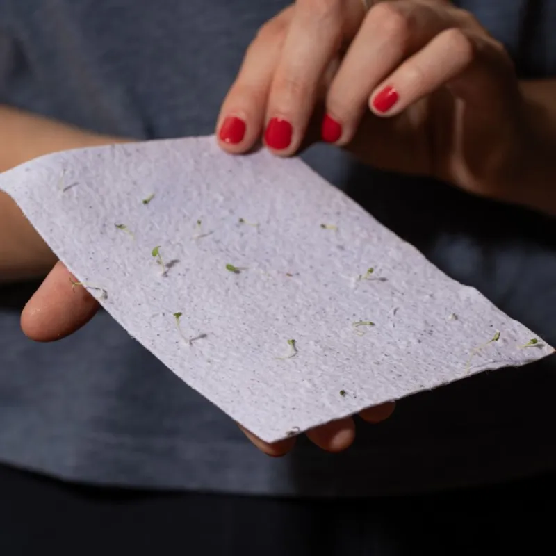 Papier qui pousse