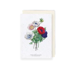 Carte à planter - Anémones | Papierfleur.fr, le papier qui fleurit