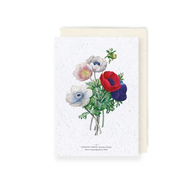 Carte à planter - Anémones | Papierfleur.fr, le papier qui fleurit