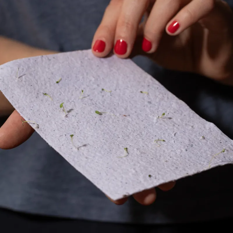 Découvrez notre carte à planter personnalisable A7 4 pages