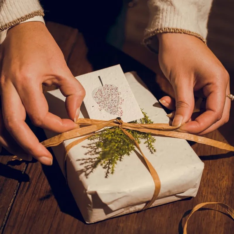 Papier cadeau à planter, une façon écologique et fleurie de faire vos paquets cadeaux.