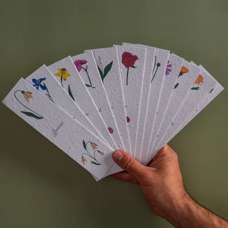 Découvrez notre collection unique de marque-pages à planter mettant en lumière les fleurs de naissance !