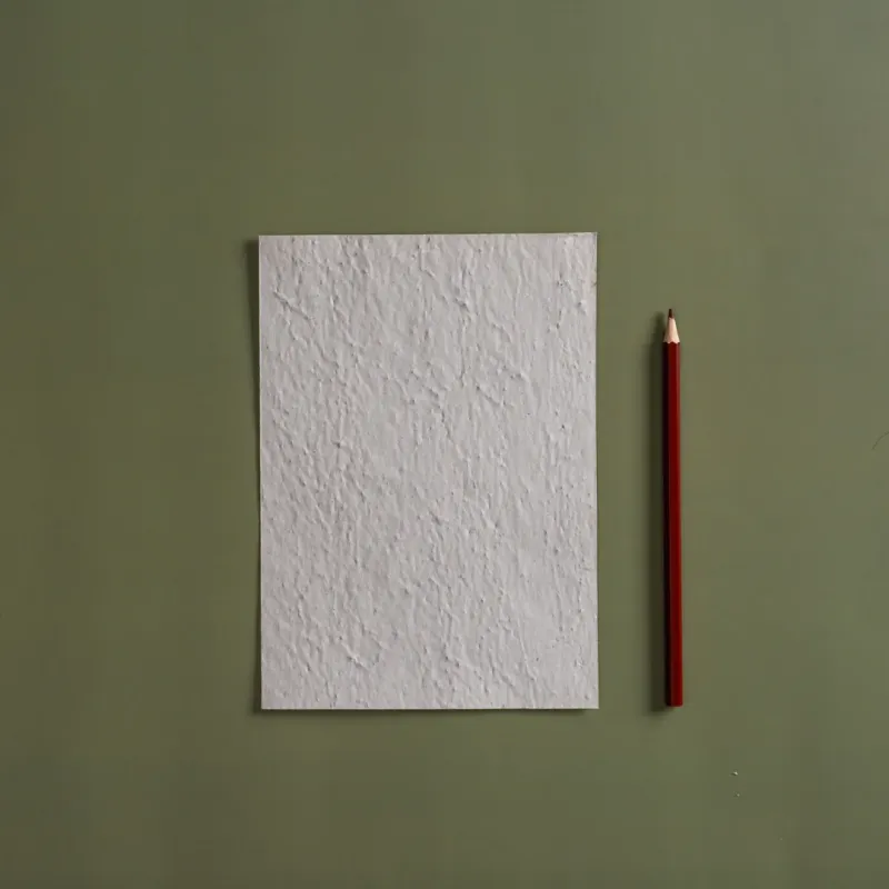 Créez des flyers uniques et poétiques avec notre papier ensemencé 100g, recyclé et biodégradable.