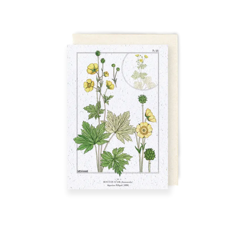 Carte à planter - Planche de Bouton d'Or | Papierfleur.fr, le papier qui fleurit