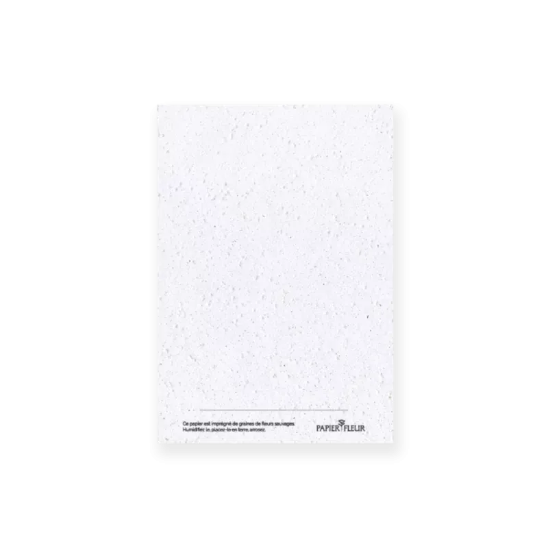 Envoyez vos plus beaux mots pour les fêtes de fin d'année sur des cartes remplies de graines de fleurs des champs.